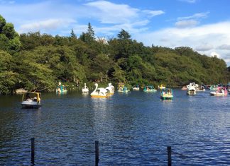 Studio Ghibli, Live Music, and Cursed Swan Boats: A Day at Inokashira Park