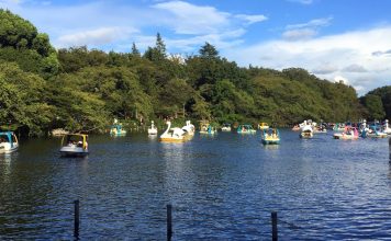 Studio Ghibli, Live Music, and Cursed Swan Boats: A Day at Inokashira Park