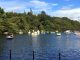 Studio Ghibli, Live Music, and Cursed Swan Boats: A Day at Inokashira Park