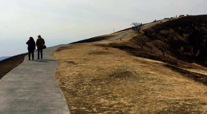 Mount Omuro: Volcanic Archery and the Fiery Yamayaki Festival