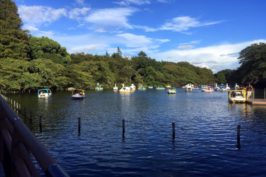 Swan boats wheel around Inokashira Park's pond.