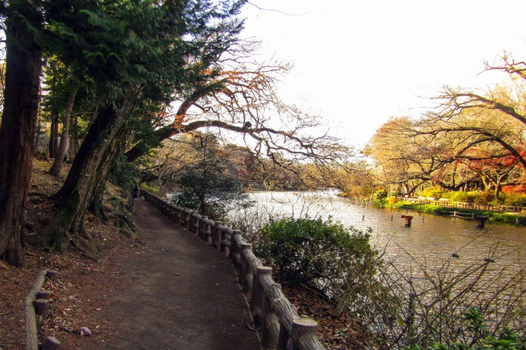 Inokashira Park is an expanse of parkland in Tokyo's Kichijoji ward. 