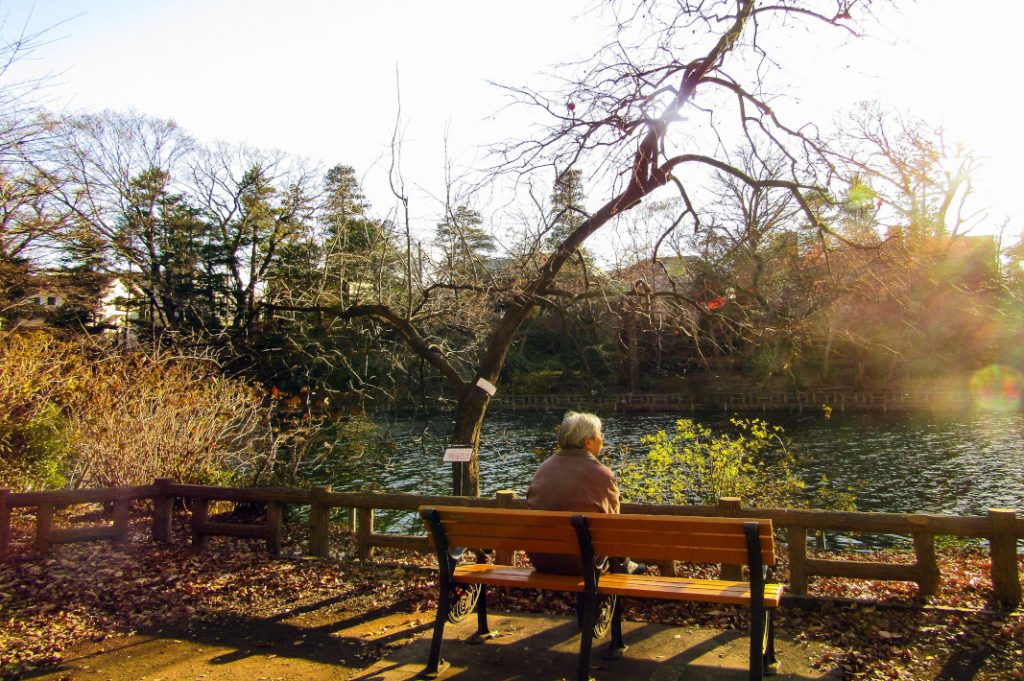 After the Studio Ghibli Museum, cosy up with a picnic lunch.