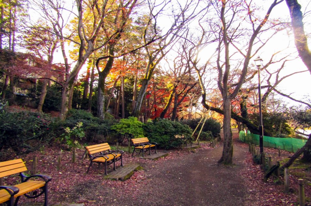 Benches are plentiful in Inokashira Park.