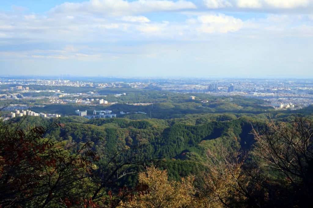 The view from Mount Takao; see if you can spot the monkey park