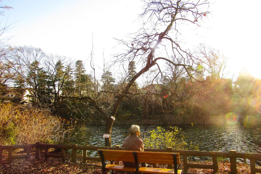 Kichijoji Tour: Inokashira Park is the perfect place to relax on your Kichijoji tour.