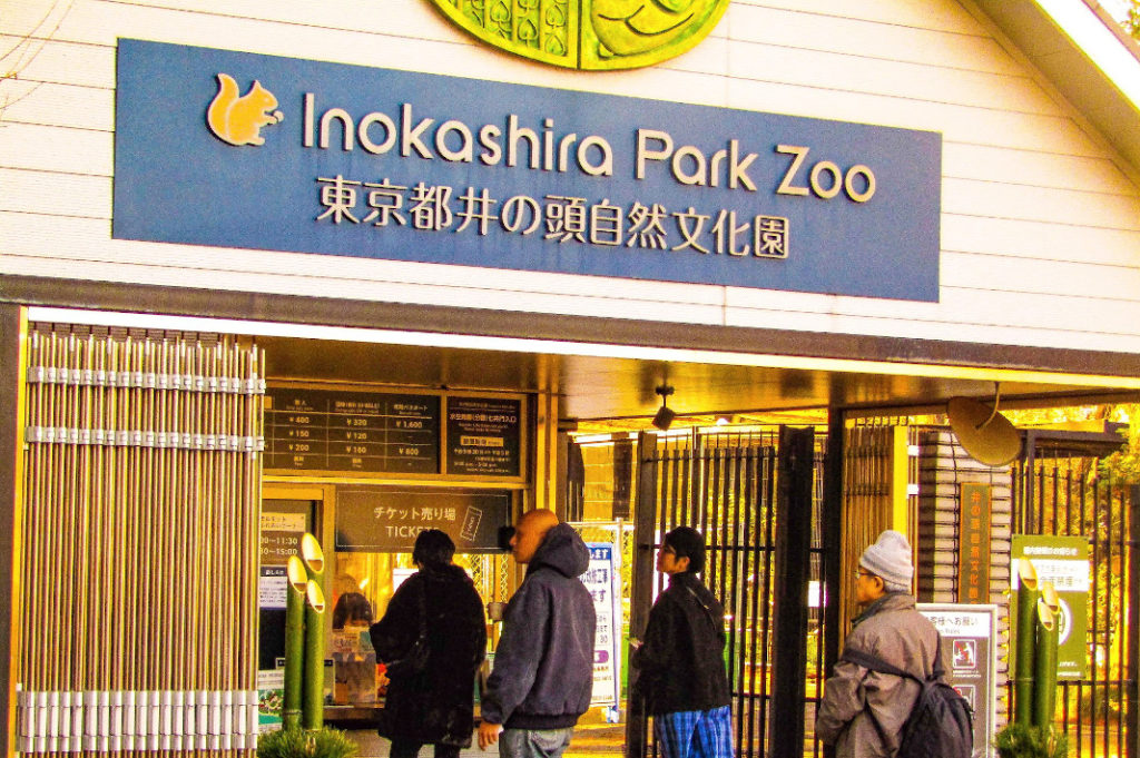 Kichijoji Tour: The Inokashira Park Zoo has a wide variety of animals on display.