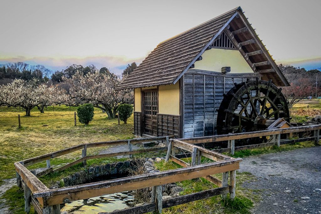 This tranquil waterwheel is in Hidaka's Kinchaku field. The red spider lily festival is held in the area. 