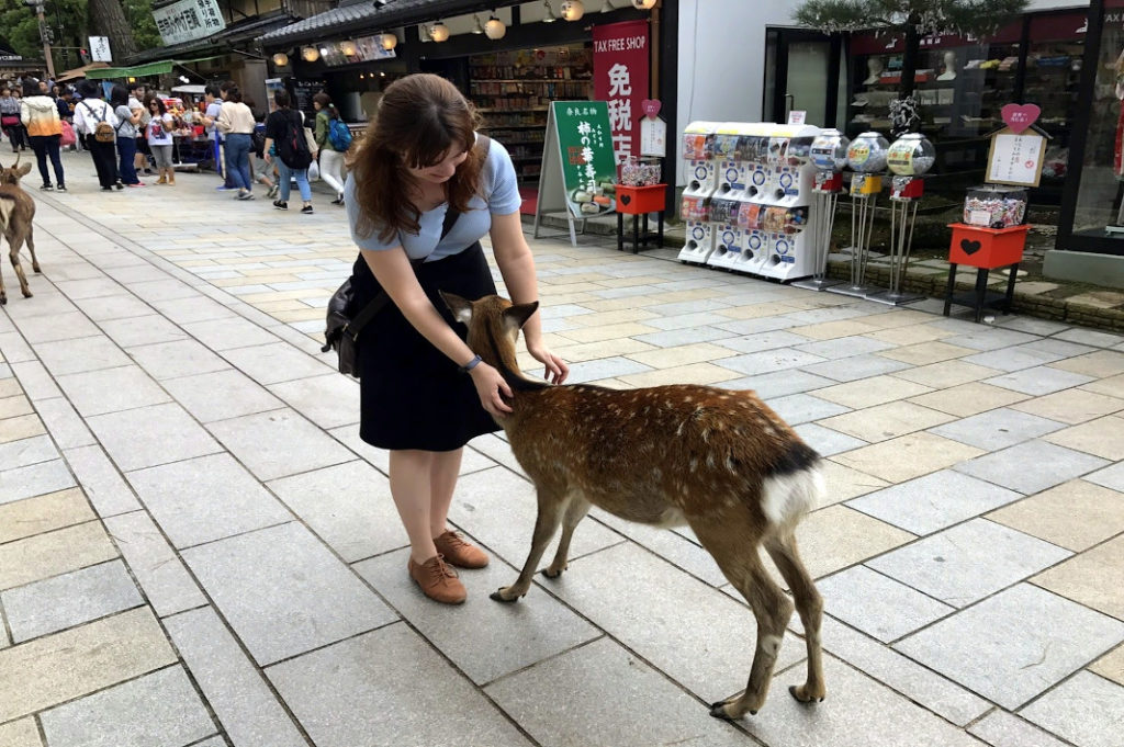 Some of Nara's bowing deer roam in the city