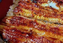 A Perfect Layover Lunch near Narita Airport: Grilled Unagi Rice Bowls at Kawatoyo Close-up of unagi at Kawatoyo