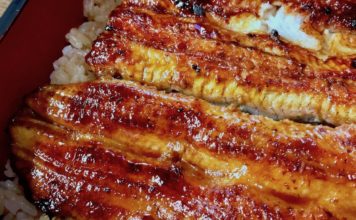A Perfect Layover Lunch near Narita Airport: Grilled Unagi Rice Bowls at Kawatoyo Close-up of unagi at Kawatoyo