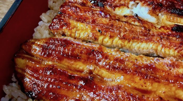 A Perfect Layover Lunch near Narita Airport: Grilled Unagi Rice Bowls at Kawatoyo Close-up of unagi at Kawatoyo