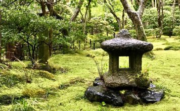 Moss: An Essential Element of Japanese Culture Stone lantern surrounded by moss