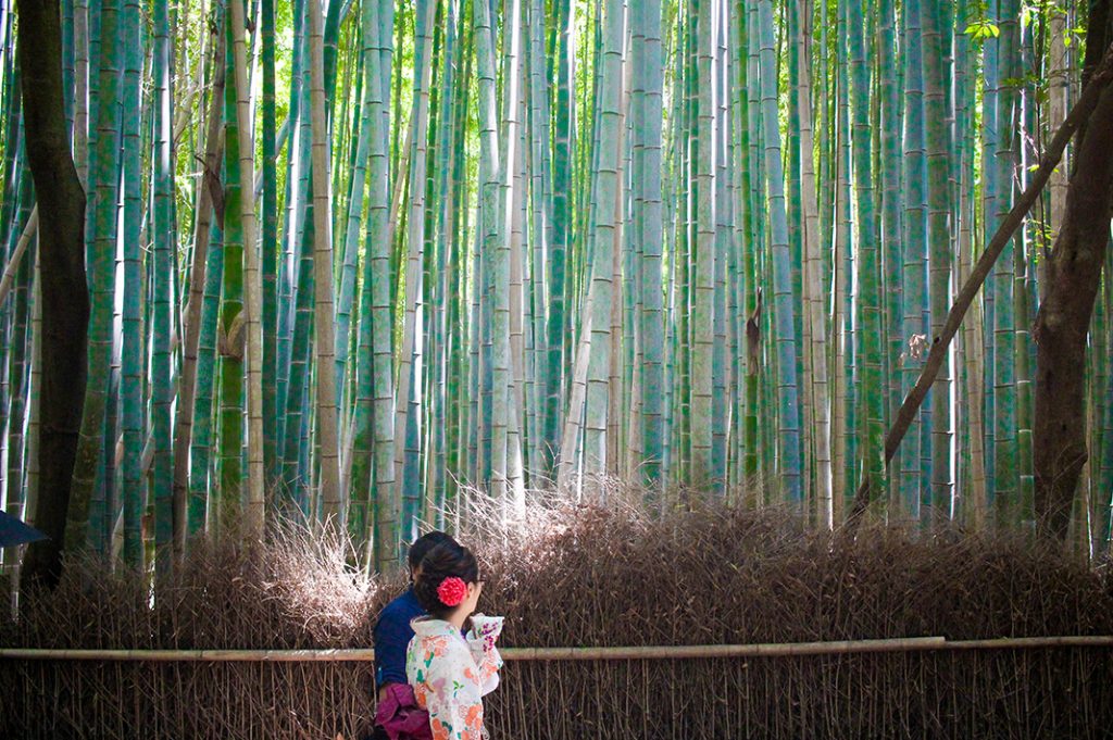 Arashiyama Bamboo Grove