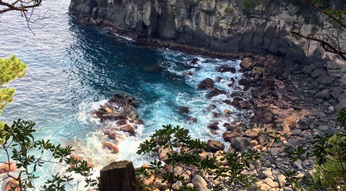 The Jogasaki Coast: Hiking through Volcanic Cliffs and Quiet Capes