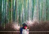 Exploring The Arashiyama Bamboo Grove
