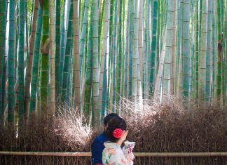 Exploring The Arashiyama Bamboo Grove