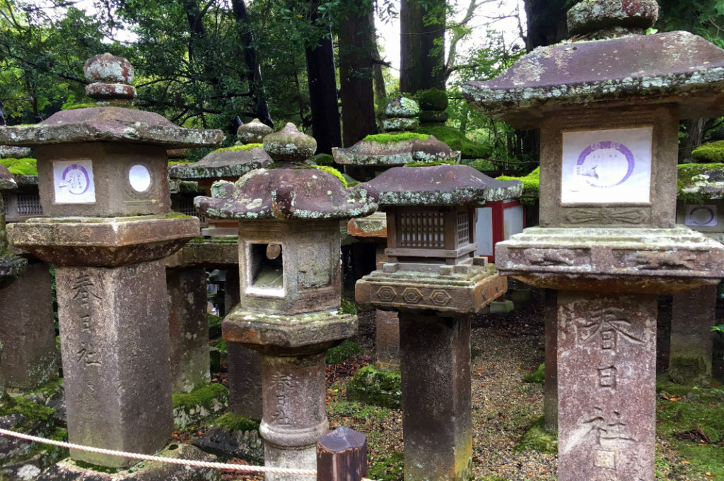 The friendly, four-legged creatures of Nara Deer Park like to play here. 