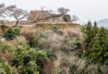 Dizzying Heights at Takeda Castle: Tokyo to Okinawa Day 4