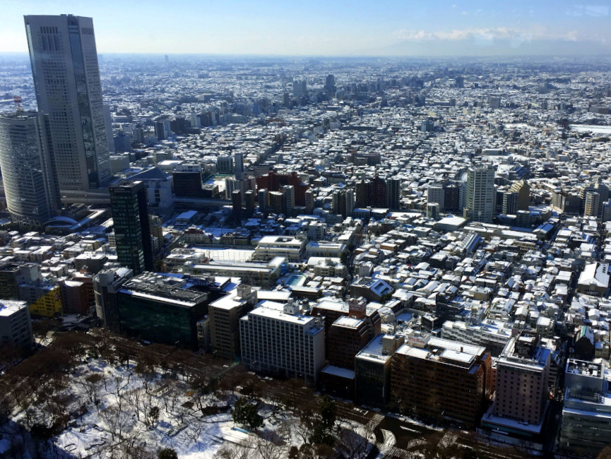  Although snow rarely falls on the city, there's a ton of fun winter activities in Tokyo 