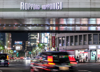 Roppongi Tour: Soaring Heights and Night Life
