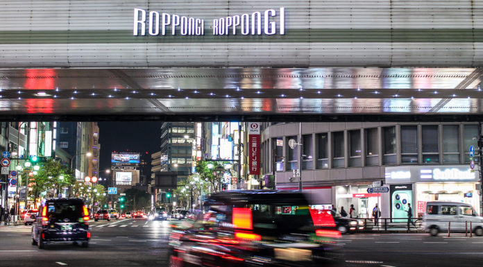 Roppongi Tour: Soaring Heights and Night Life