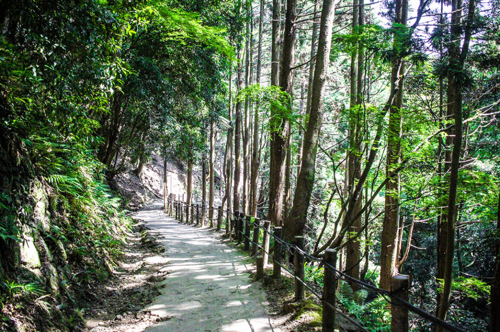 Hiking to Arashiyama Monkey Park