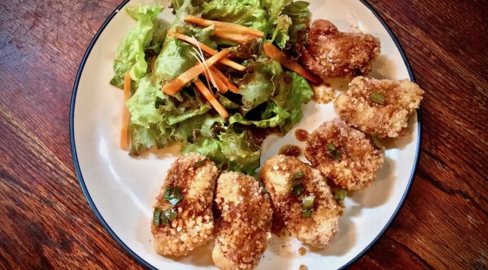 Nagi Shokudo is Where to Go for Affordable, Delicious Vegan Food in Shibuya