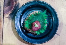 Prime Chicken and Flaming Charcoal at Ganchan Roppongi