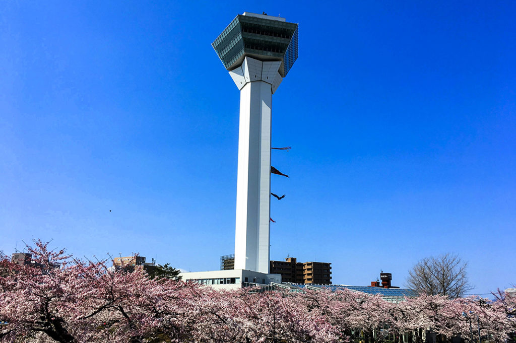 The sight's tower will let you see all of Hakodate