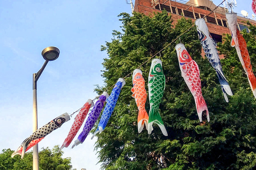 The colours of Japanese fish flags symbolise each member of the family
