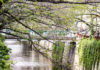 River Walks: A Tour of Tokyo’s Waterways – Part 1
