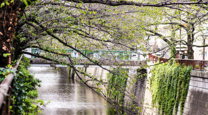 River Walks: A Tour of Tokyo’s Waterways – Part 1