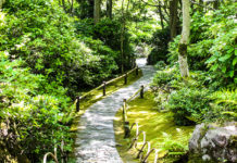 Fresh Matcha and Garden Strolls at Okochi Sanso Garden