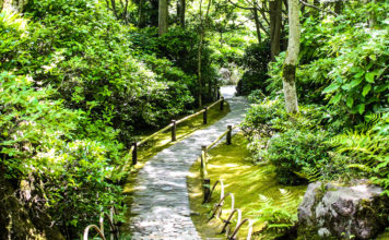 Fresh Matcha and Garden Strolls at Okochi Sanso Garden
