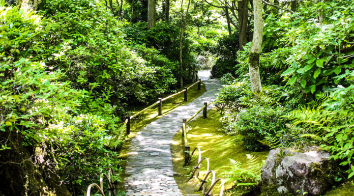 Fresh Matcha and Garden Strolls at Okochi Sanso Garden