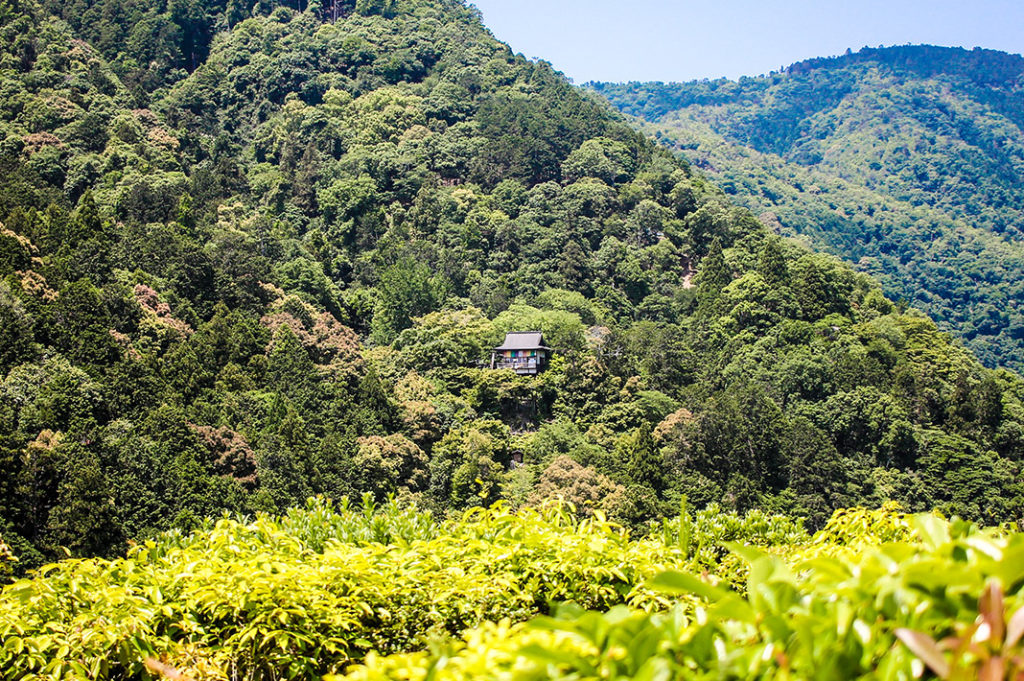 Okochi Sanso in Arashiyama offers offers sweeping views, beautiful gardens and delicious green tea.