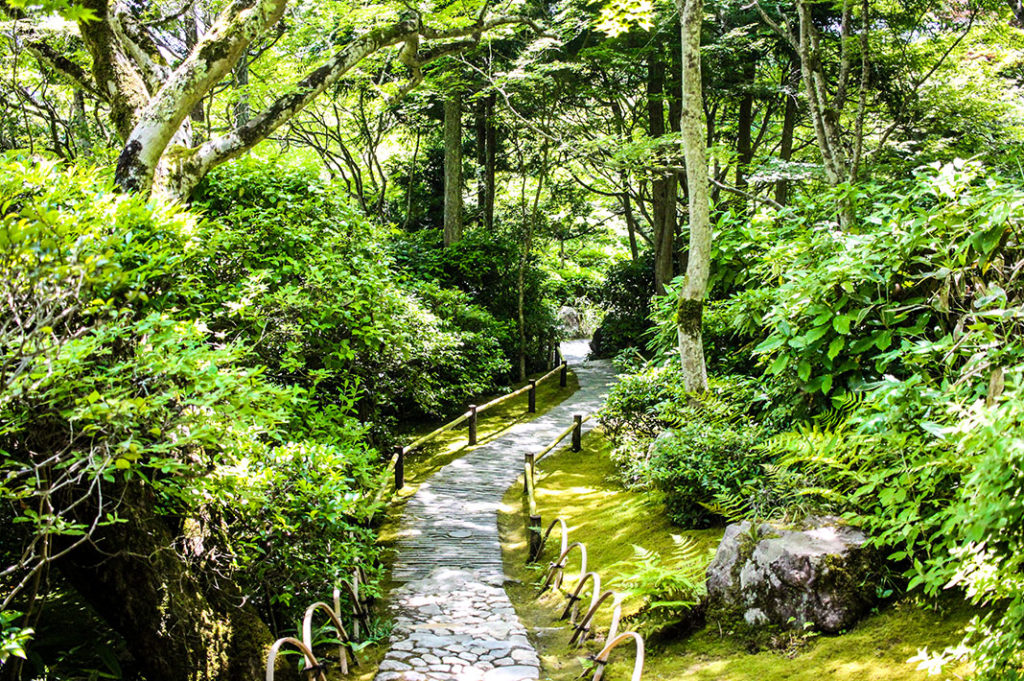 Okochi Sanso in Arashiyama offers offers sweeping views, beautiful gardens and delicious green tea.