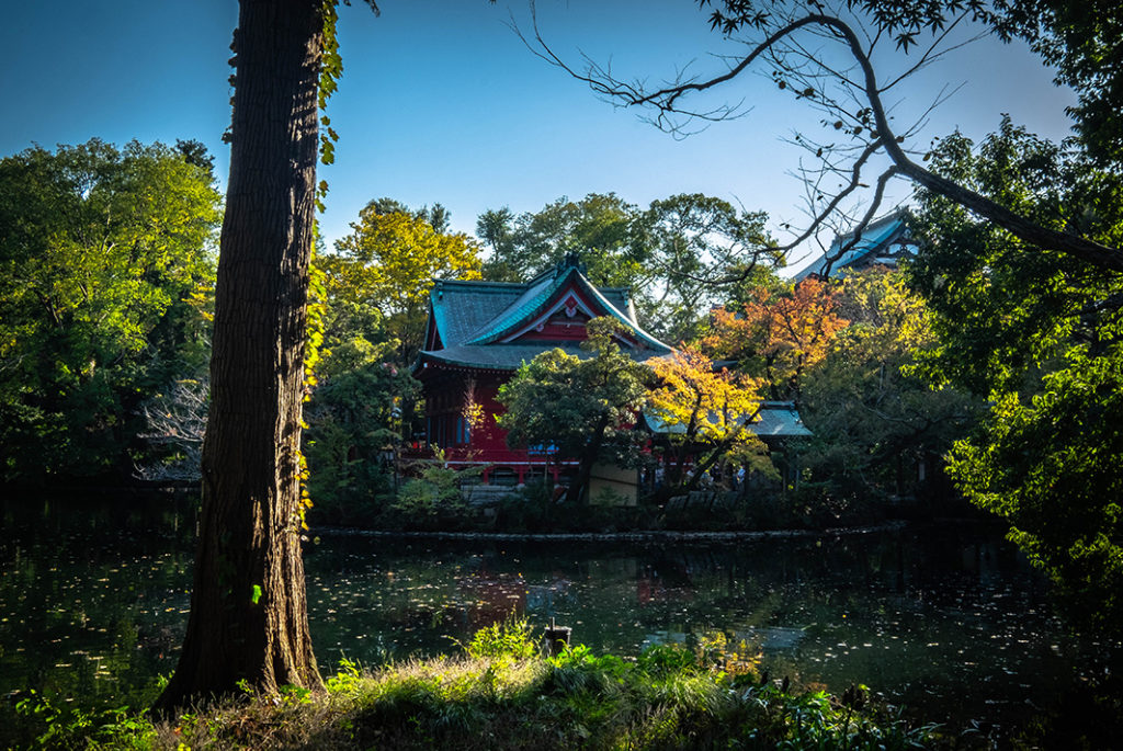 Inokashira Park in Kichijoji