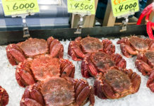 Get Your Seafood and Shopping Fix in Hakodate: The Morning Market and Kanemori Red Brick Warehouse hakodate market