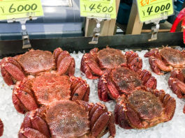 Get Your Seafood and Shopping Fix in Hakodate: The Morning Market and Kanemori Red Brick Warehouse hakodate market