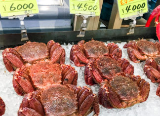 Get Your Seafood and Shopping Fix in Hakodate: The Morning Market and Kanemori Red Brick Warehouse hakodate market