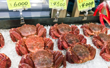 Get Your Seafood and Shopping Fix in Hakodate: The Morning Market and Kanemori Red Brick Warehouse hakodate market