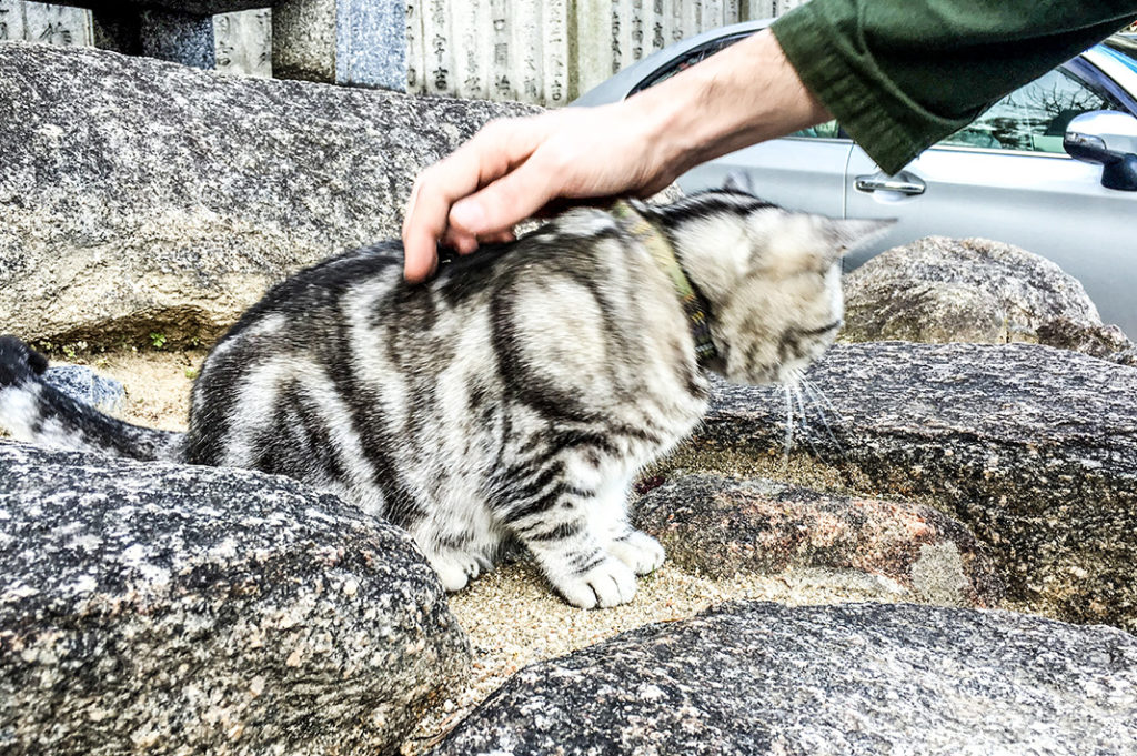 If small fluffy animals are your thing, try Okunoshima too