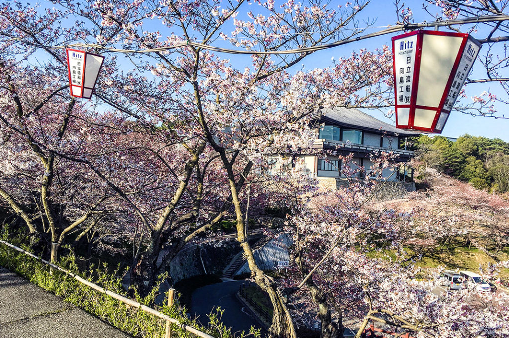 Or take the Literature Path up to Senko-ji