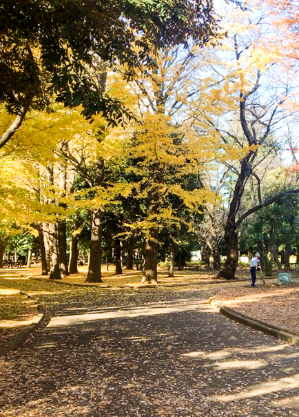 Setagaya park