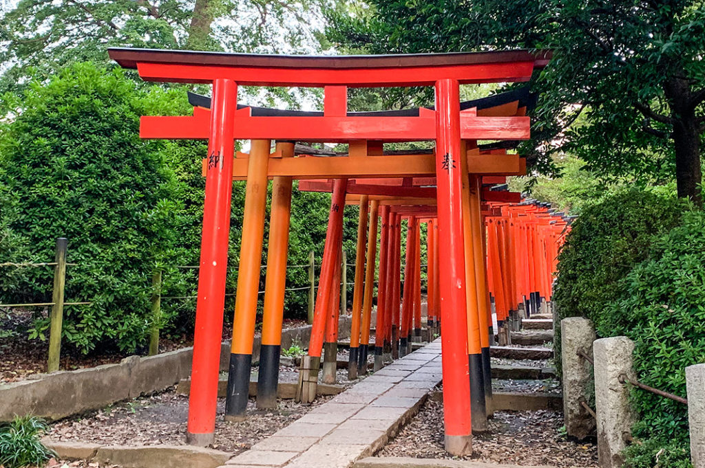 torii gate tunnel tokyo: nezu shrine / otome inari