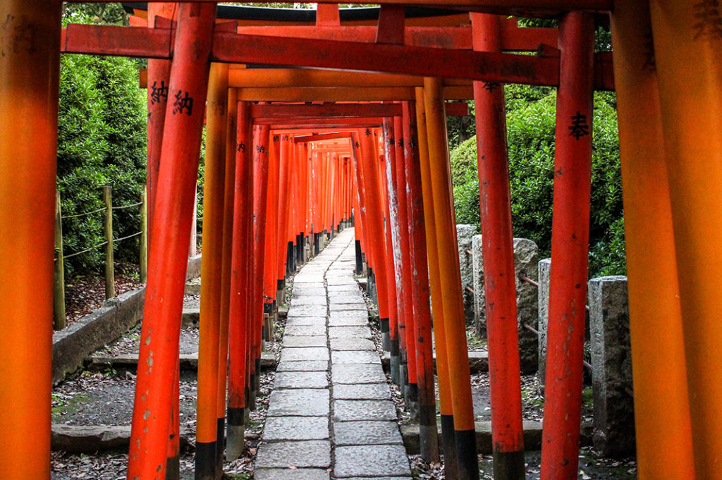 torii gate tunnel tokyo: photo of nezu shrine / otome inari