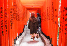 Top 3 Torii Gate Tunnel Photo Spots in…Tokyo!
