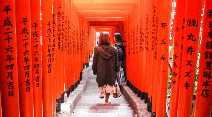 Top 3 Torii Gate Tunnel Photo Spots in…Tokyo!